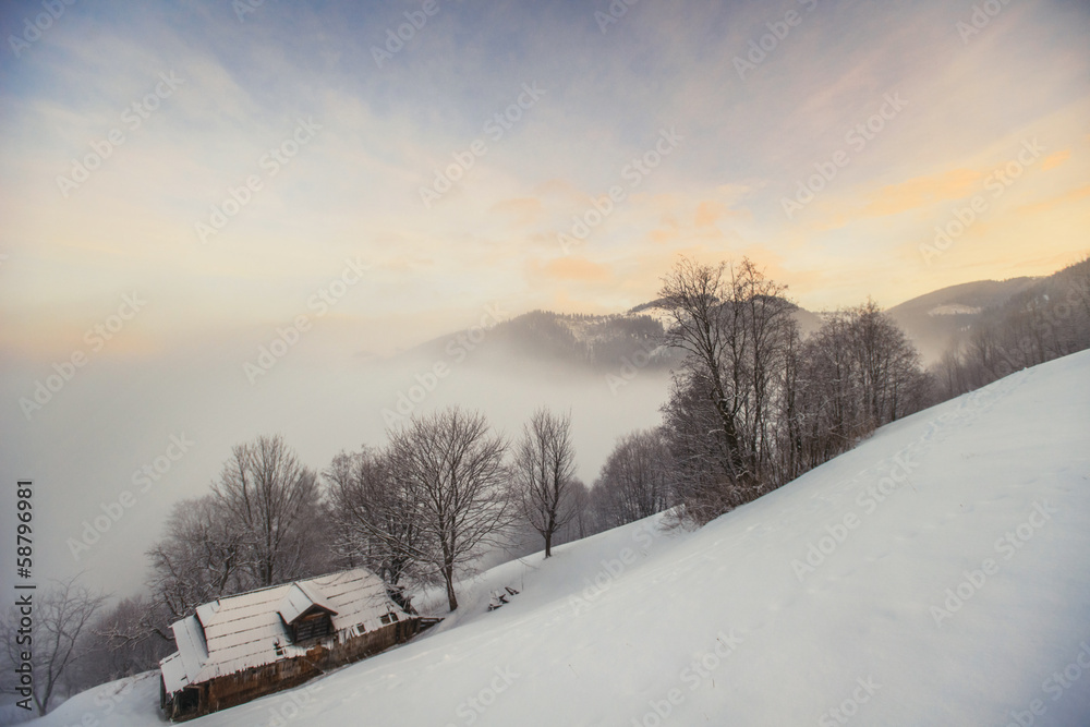 winter landscape