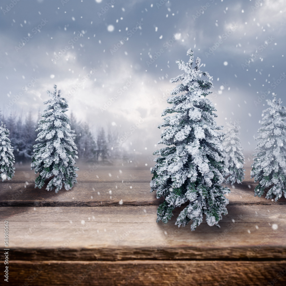 Wooden Winter Landscape