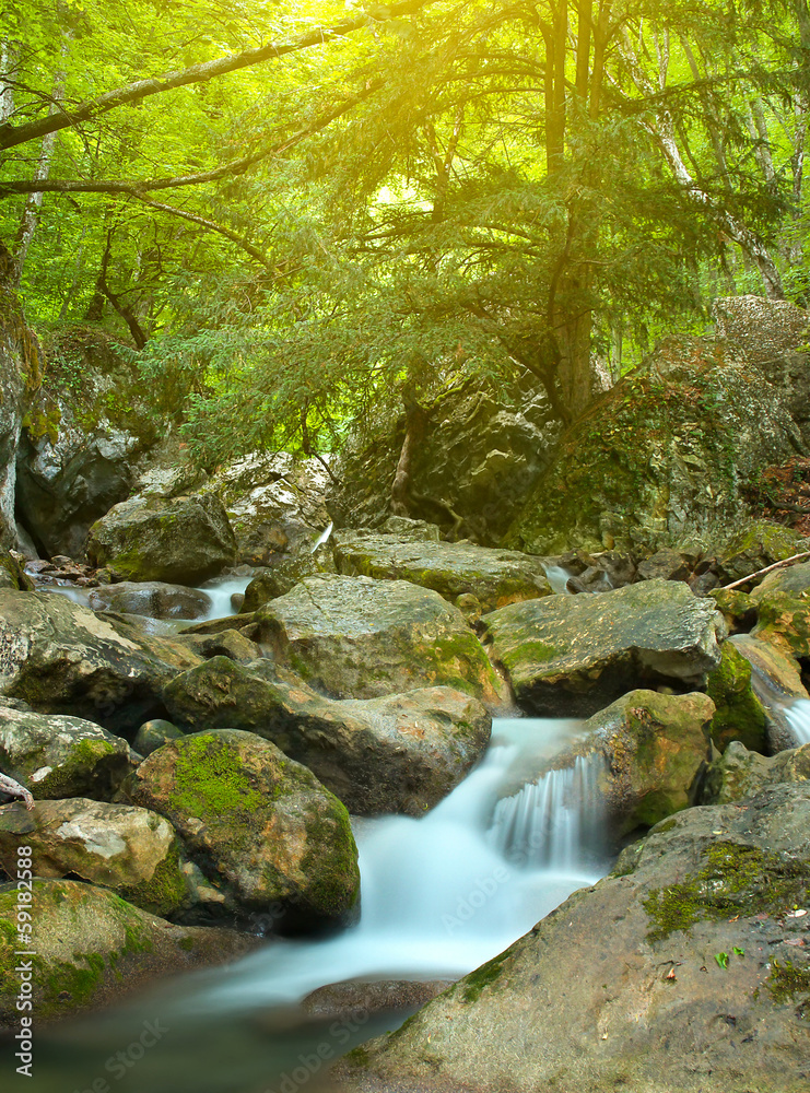 峡谷中的河流。美丽的夏季景观