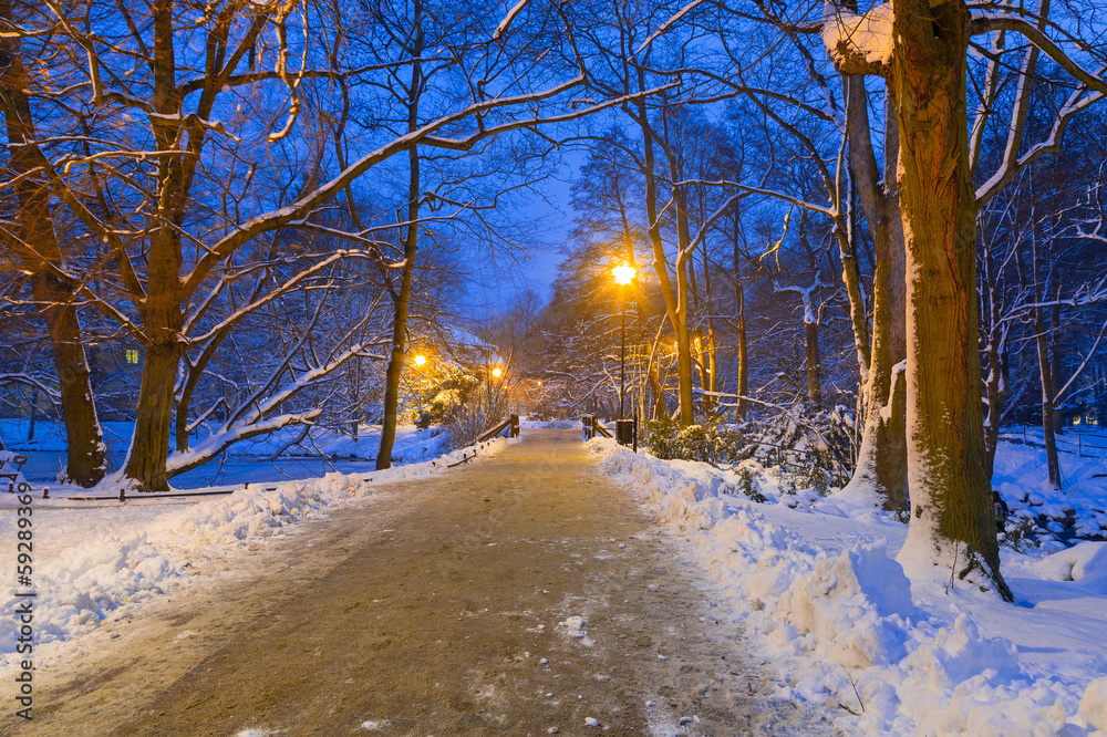 波兰格但斯克雪地公园的冬季风景