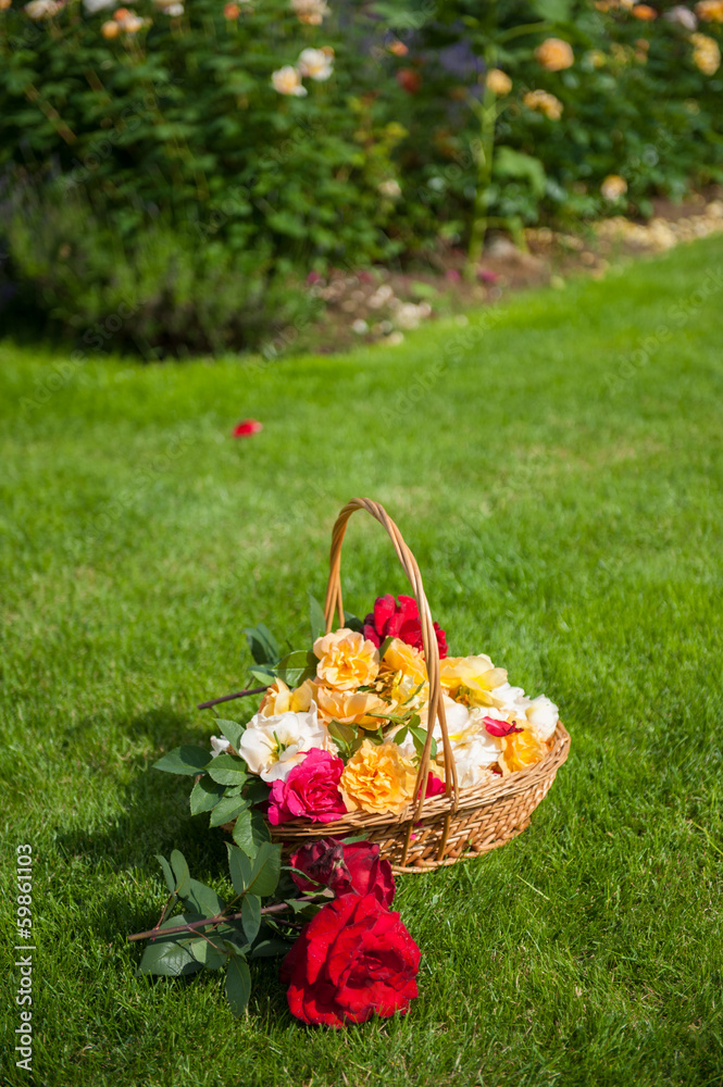 Basket of roses