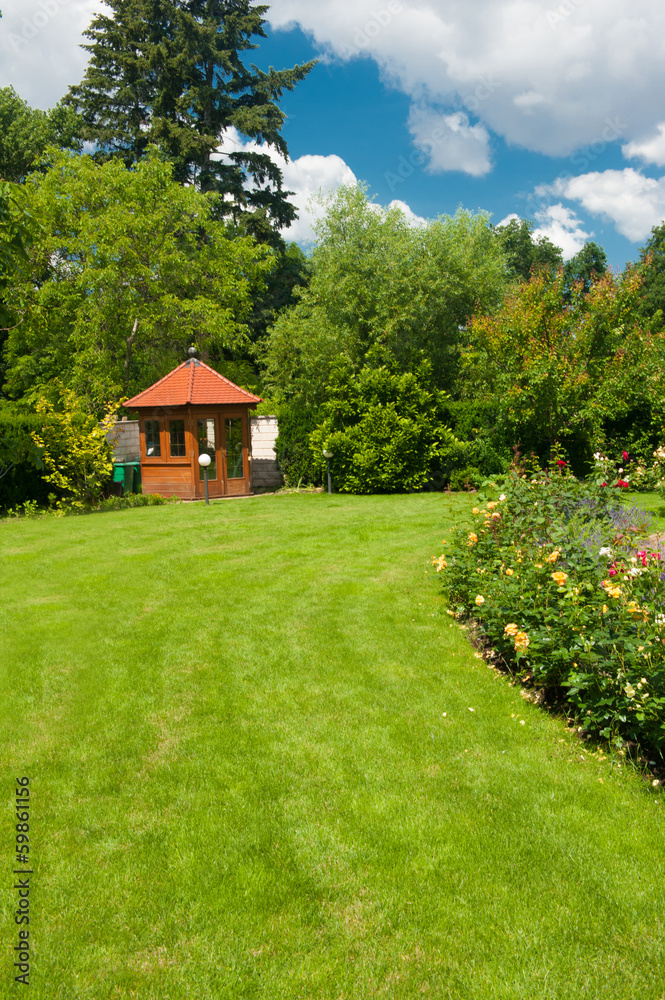 Garden with roses