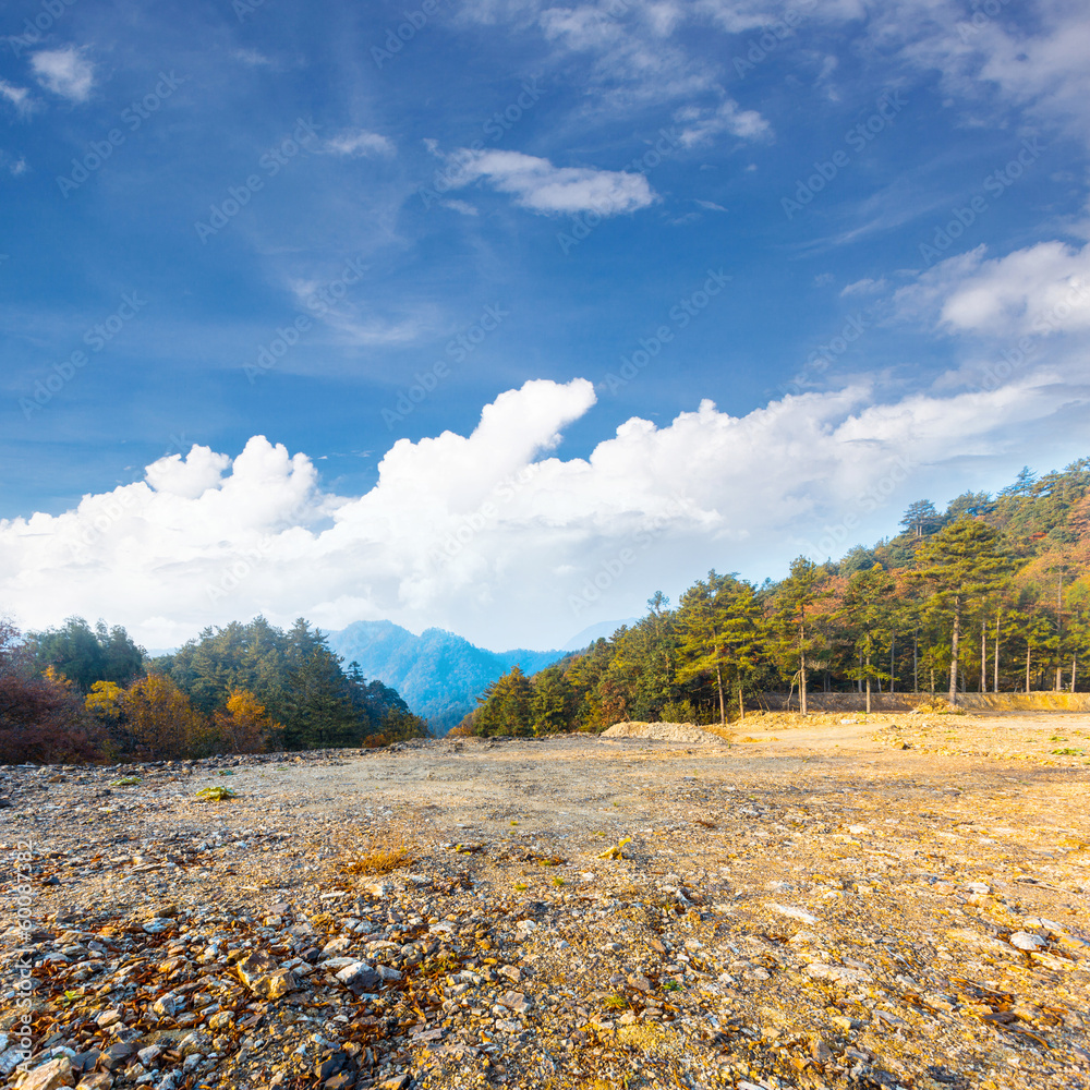 Autumnal Scenery