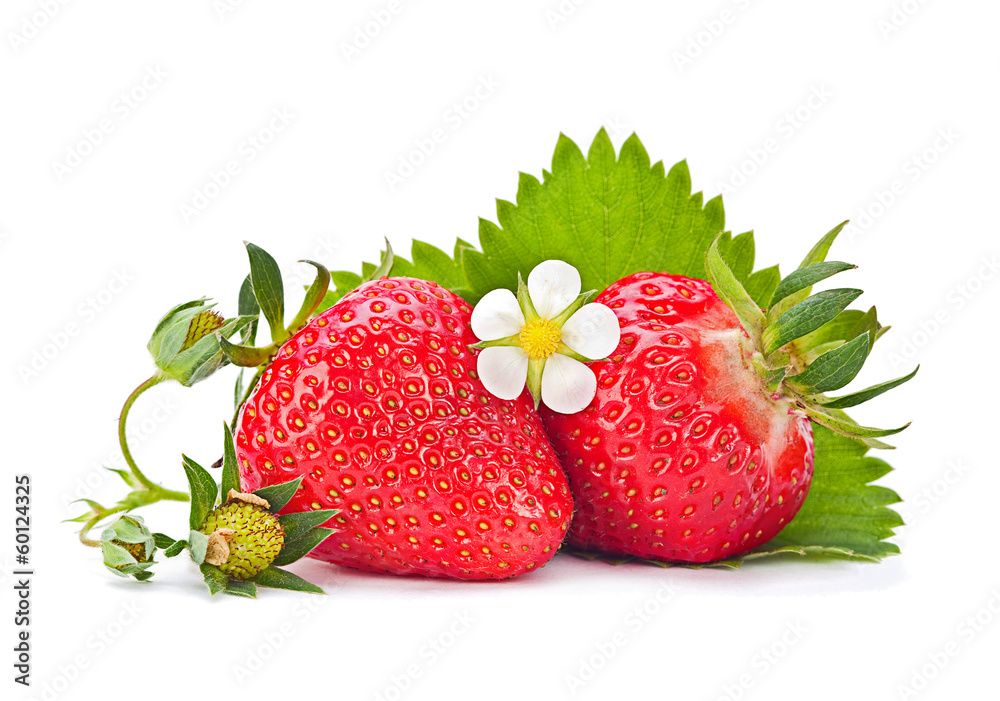 Strawberry with blossom flower