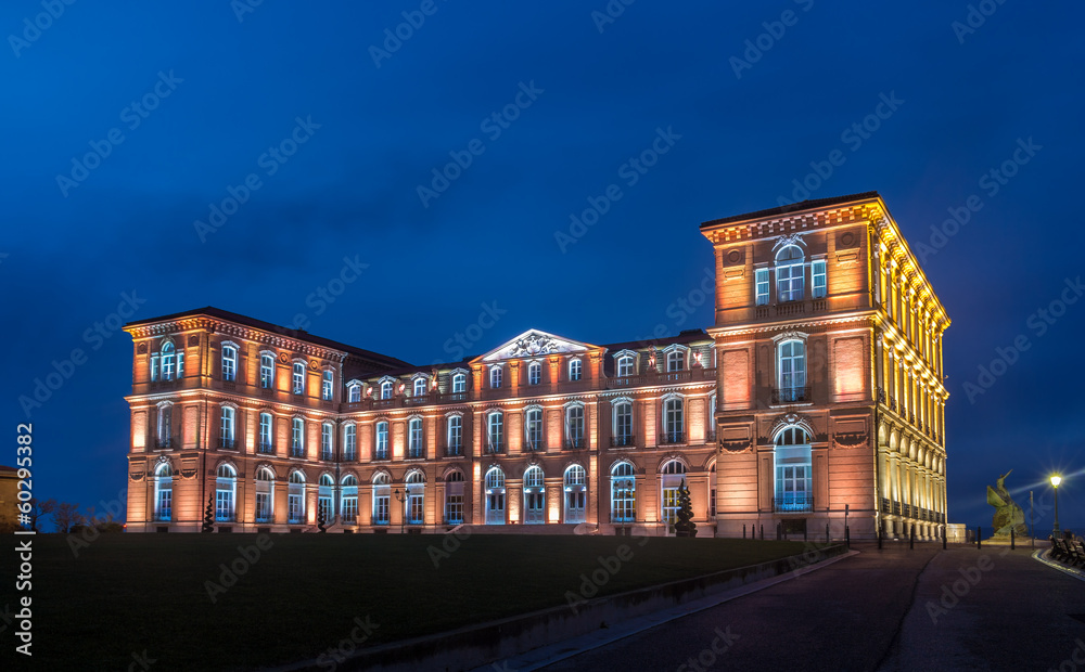 Palais du Pharo in Marseille by night - France