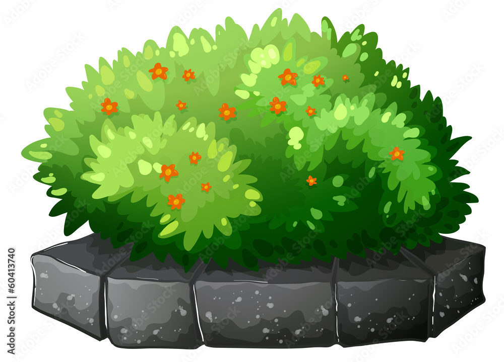 A flowering plant above the gray stone