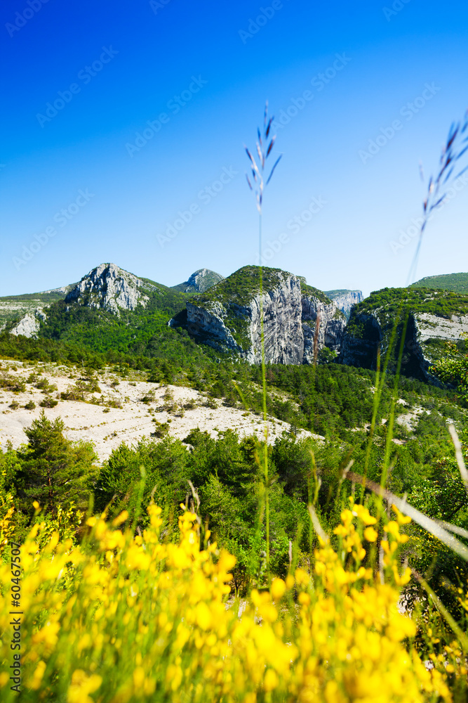 省境内山地高原