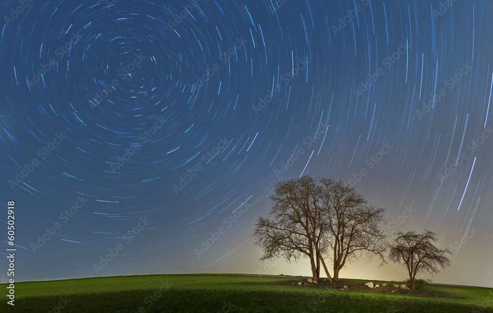 带树的Startrails