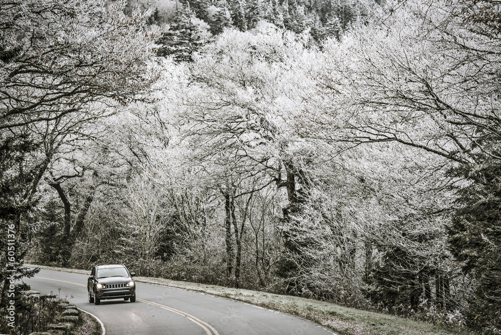 Smoky Mountains Road