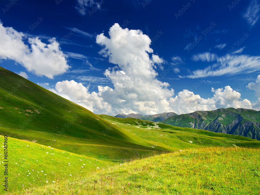 田野和多云的天空。自然的夏季景观