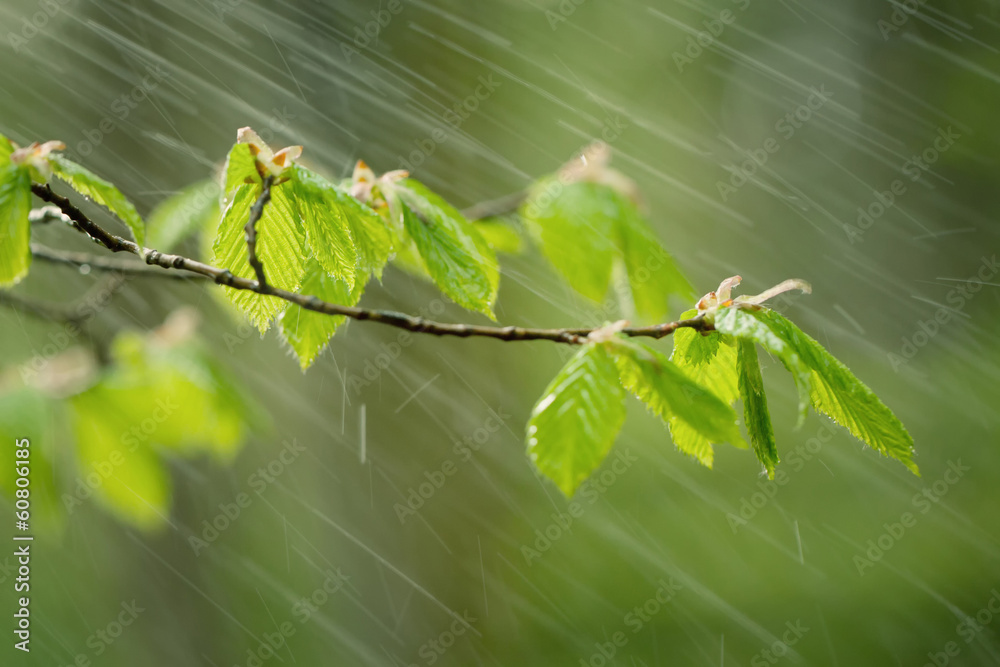 雨天