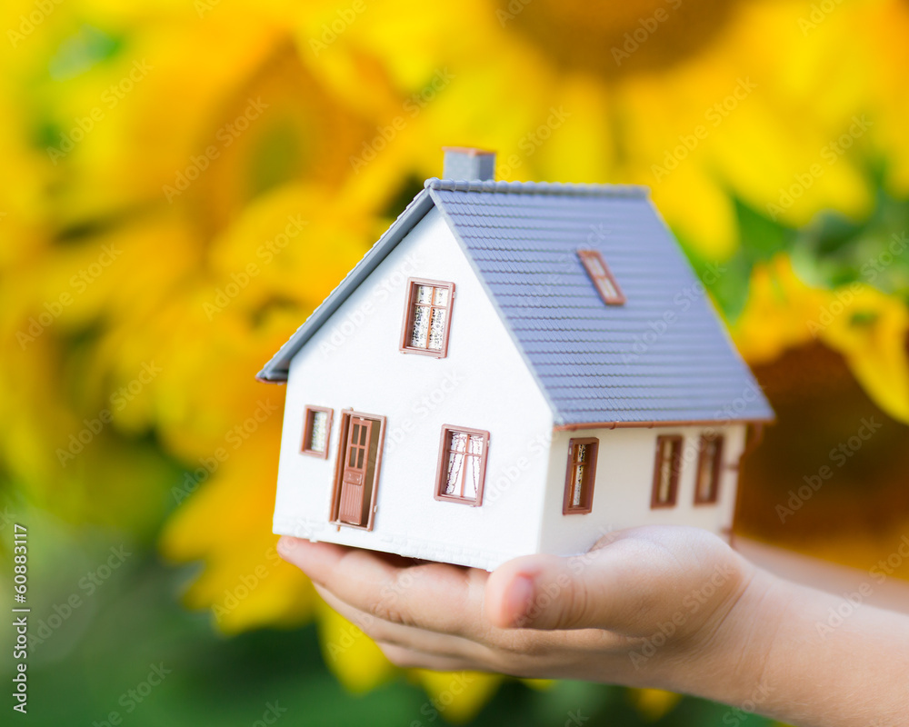 House in children`s hands