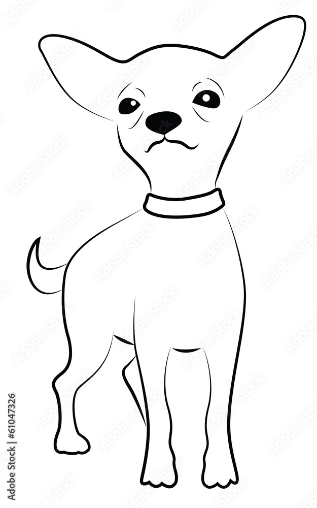 Cute Chihuahua Representation