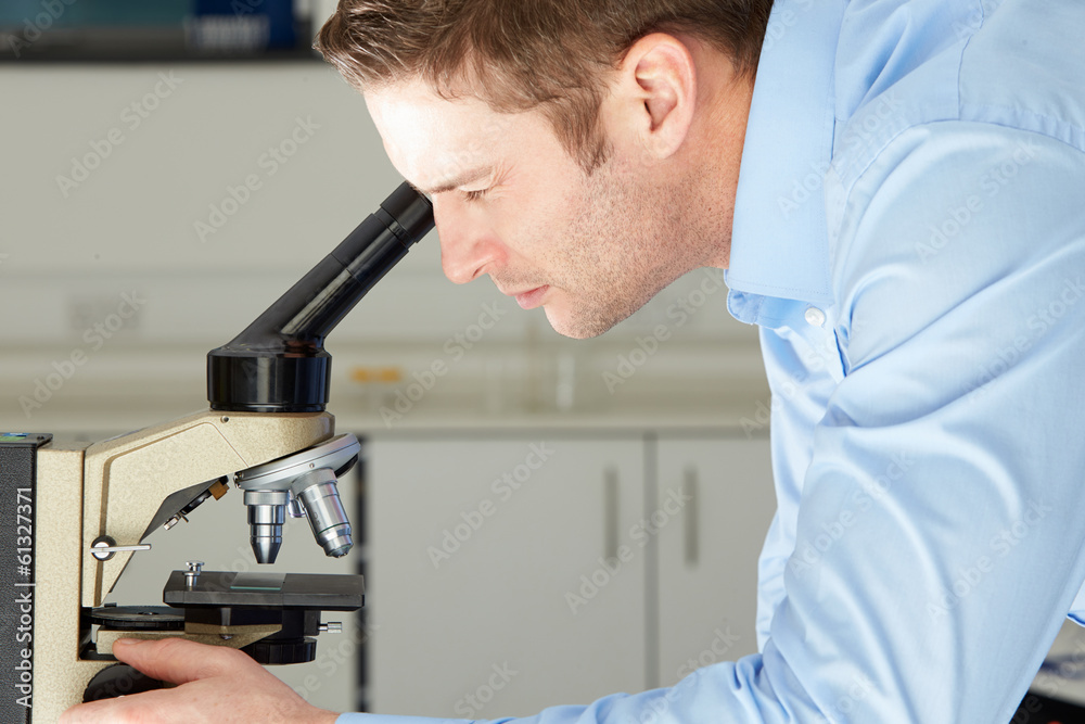 Scientist Looking Through Microscope In Laboratory