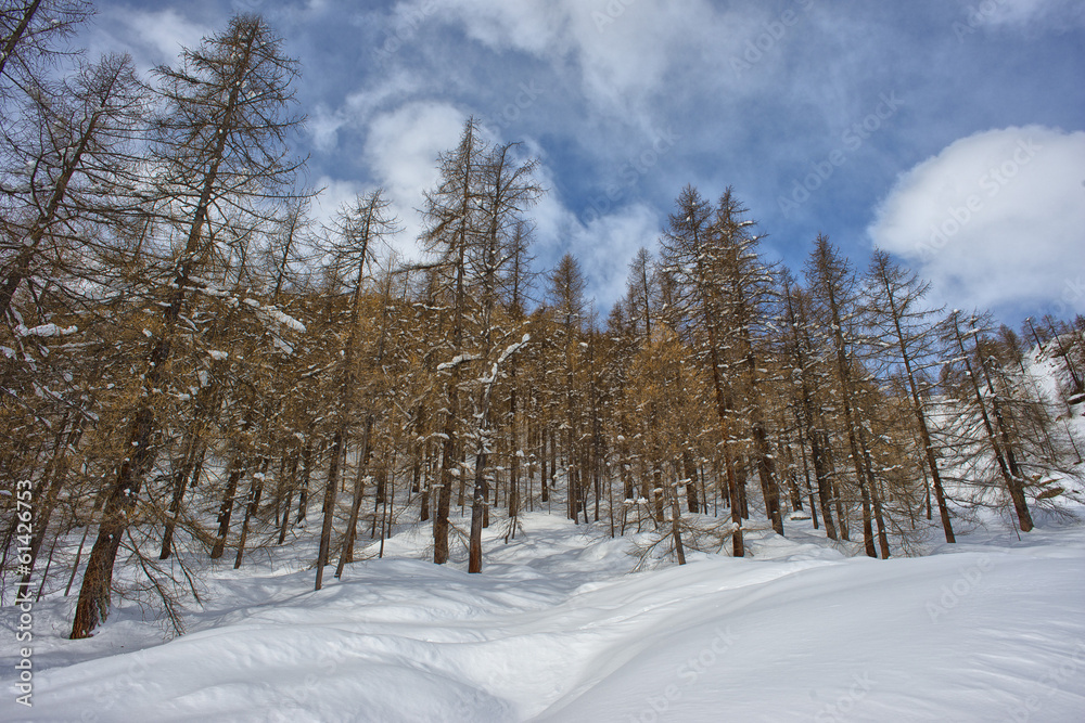 mountain landscape on sunny winter day