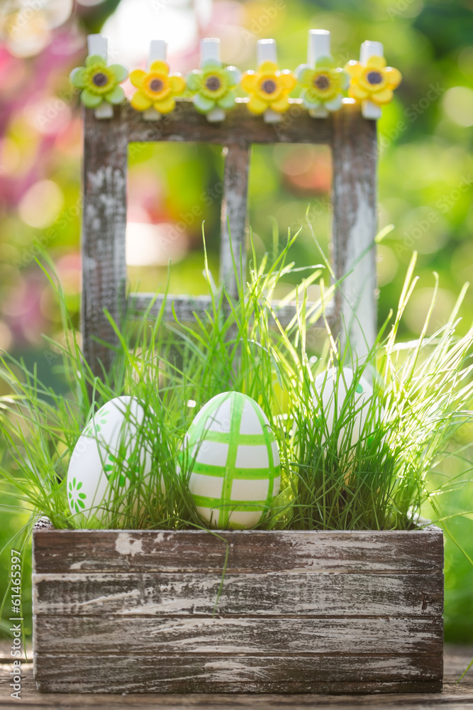 Easter eggs on green grass