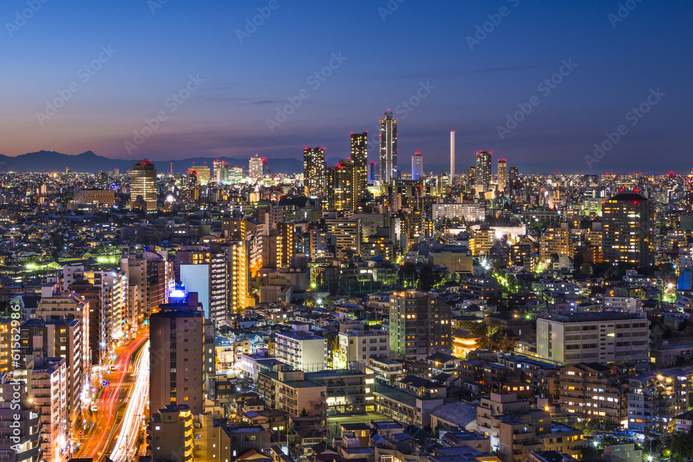 文京区的东京城市景观