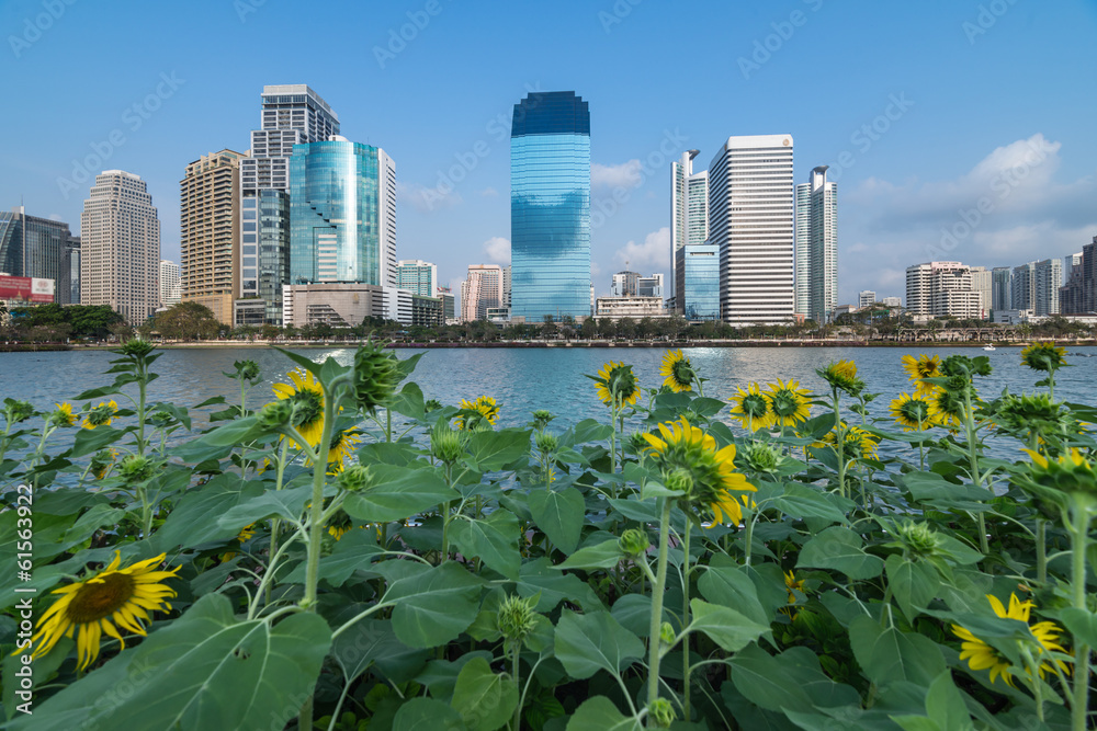 曼谷城市景观中的公园