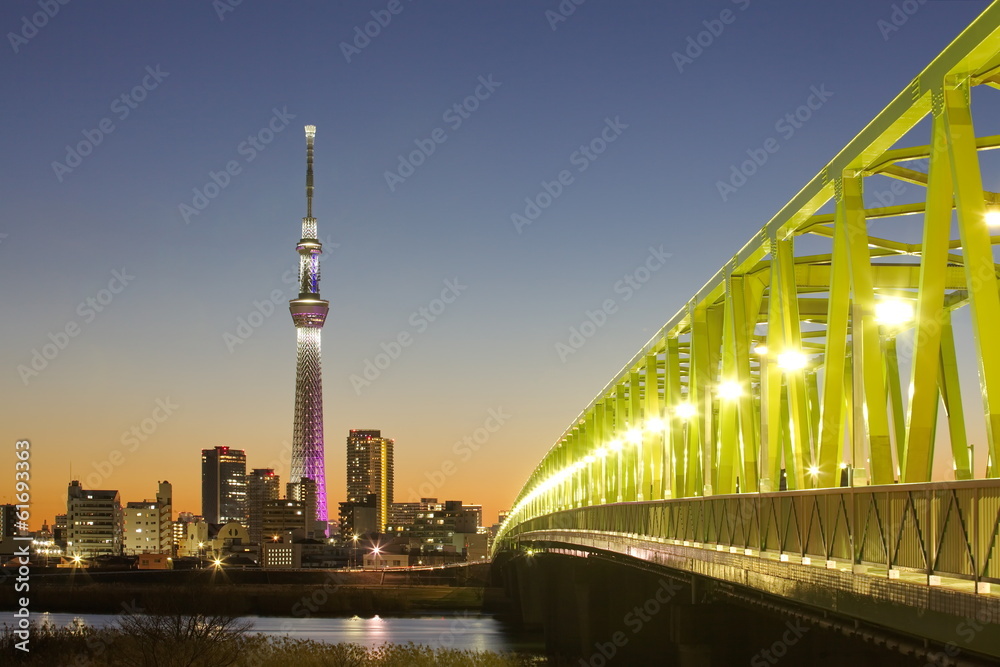 View of Tokyo skyline from Sumida river