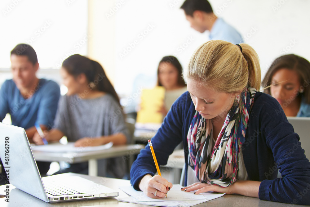 Female High School Student Studying At Desk