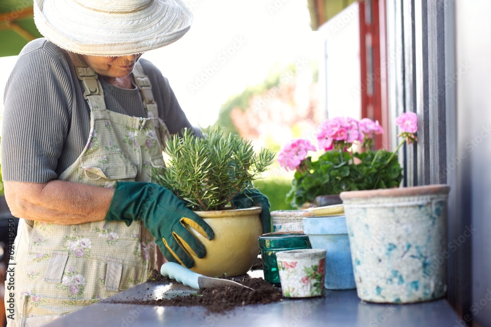 Senior gardener potting young plants in pots