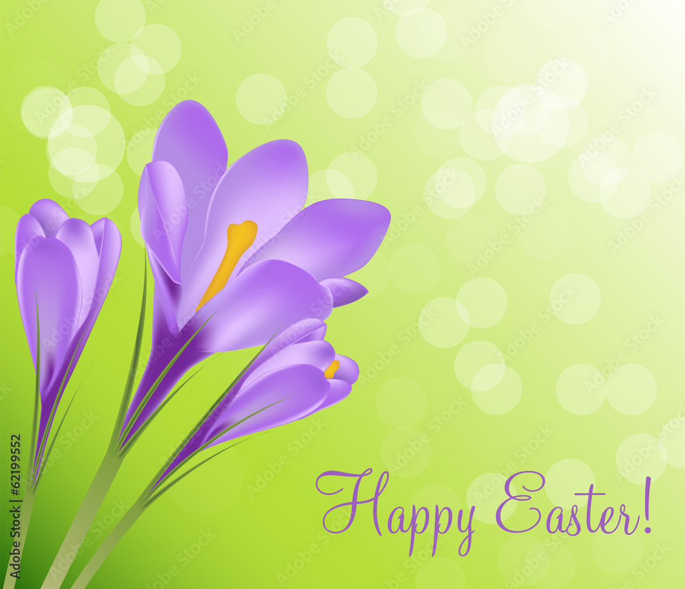 Happy Easter Card with Crocuses Vector Illustration