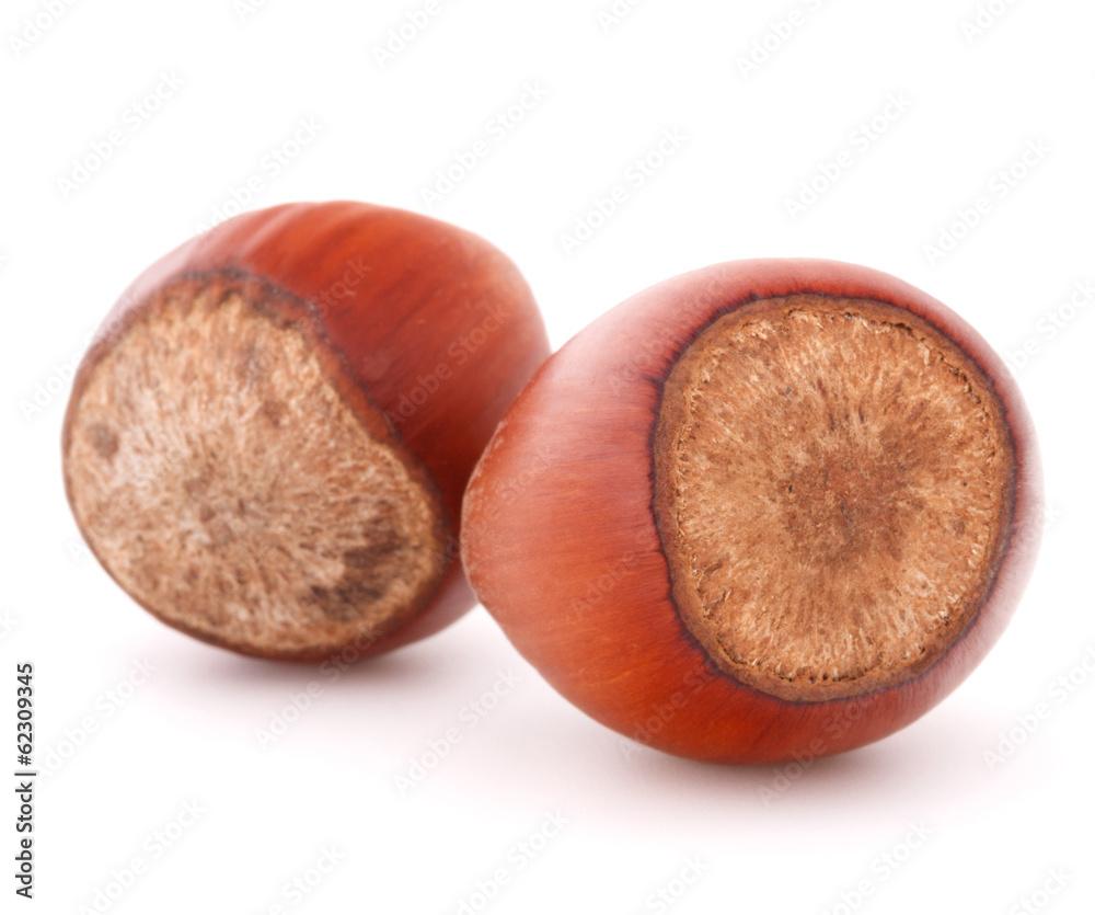 hazelnut or filbert nut isolated on white background cutout