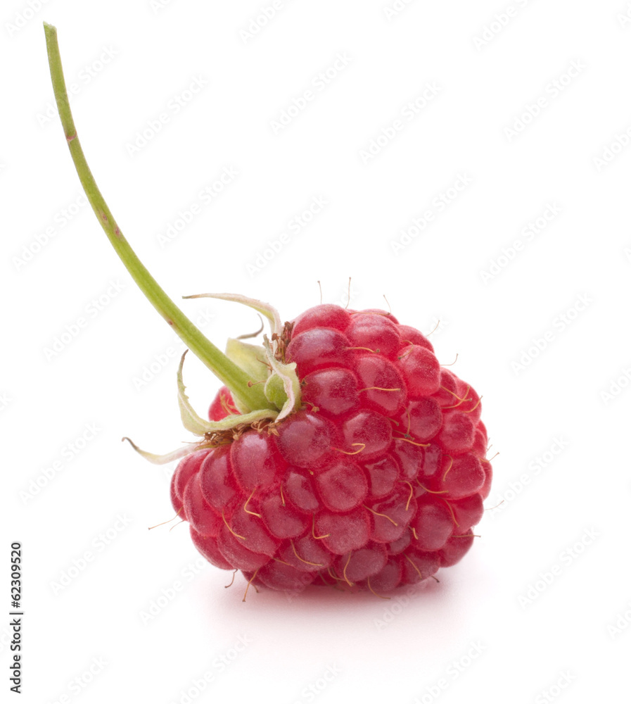 Sweet raspberry isolated on white background cutout