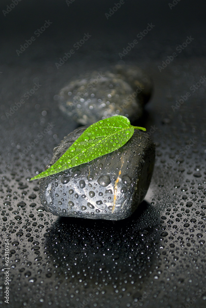 背景为树叶、花朵和水滴的黑色石头