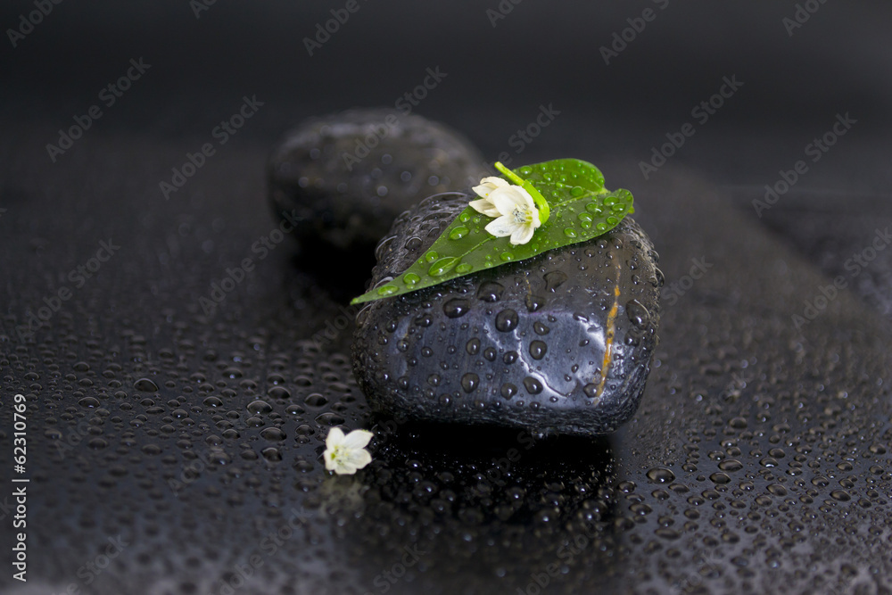 背景为树叶、花朵和水滴的黑色石头