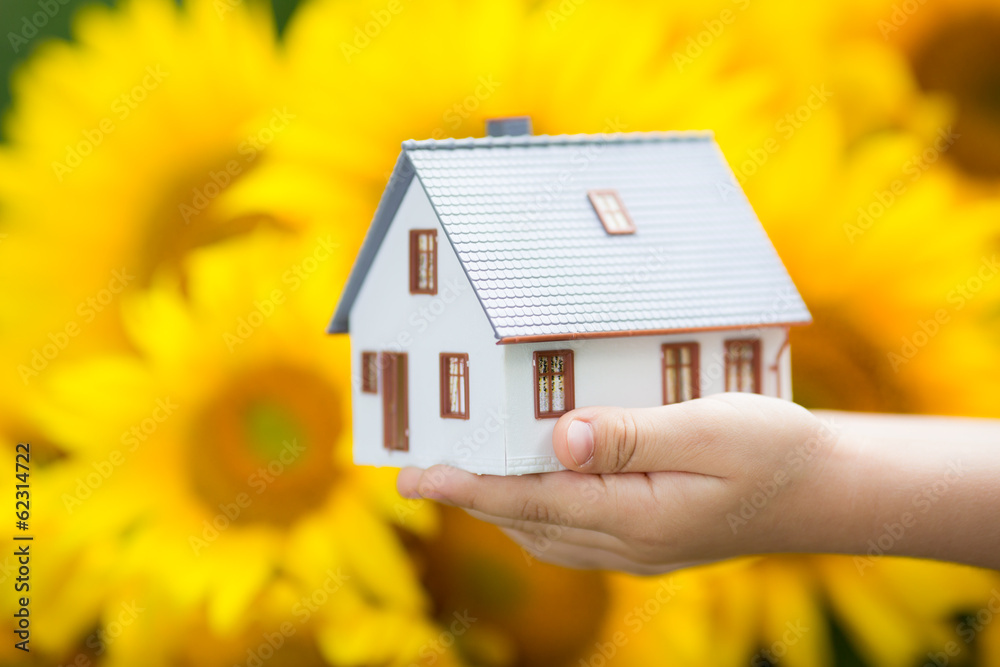 House in children`s hands