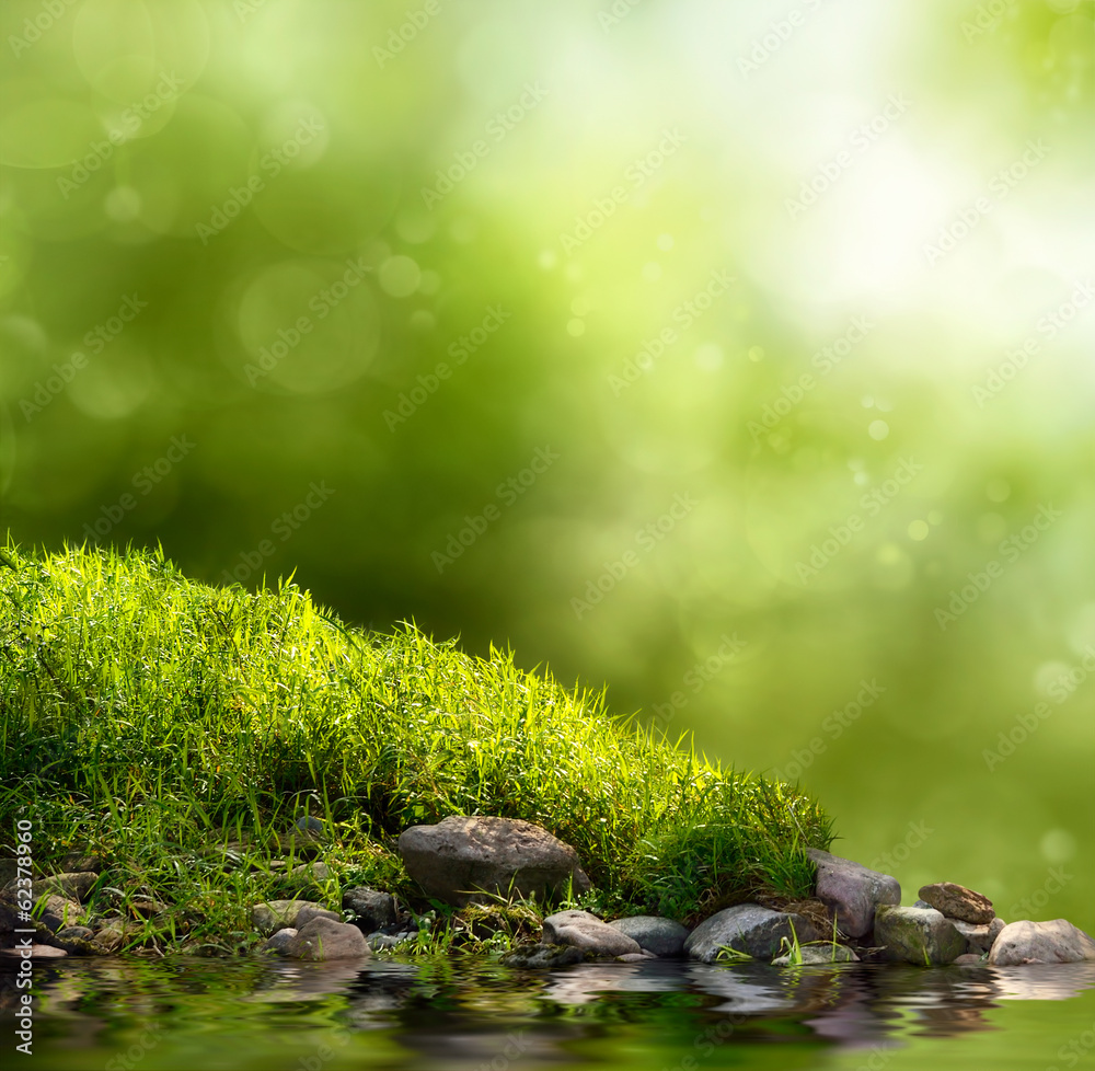 Grüne Natur als Hintergrund