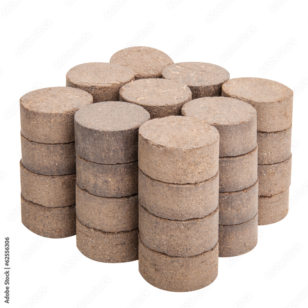 Peat briquettes for growing seedlings