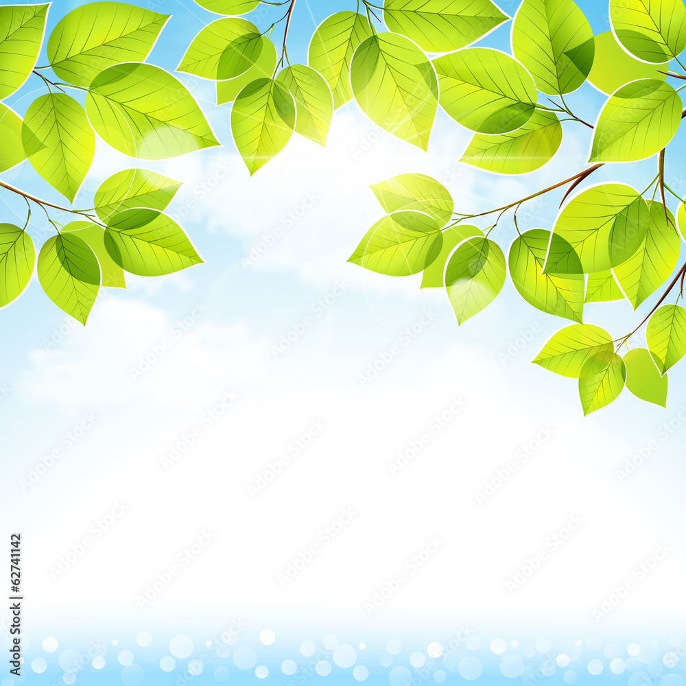 Natural background with leaves on a blue sky. Vector