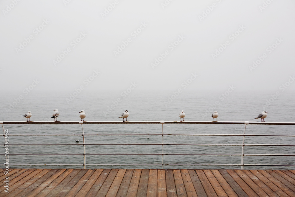 seagulls sitting on the railing in the misty sea