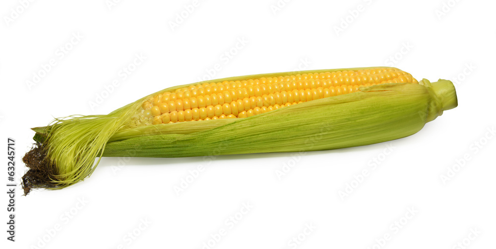 Corn isolated