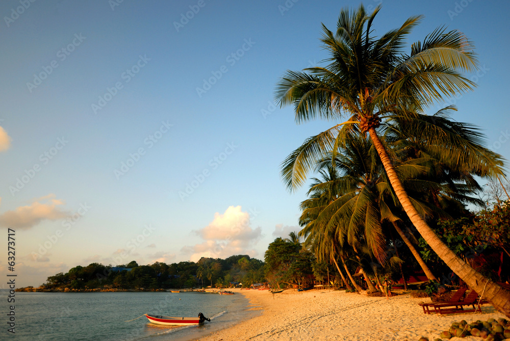 Tropical  beach