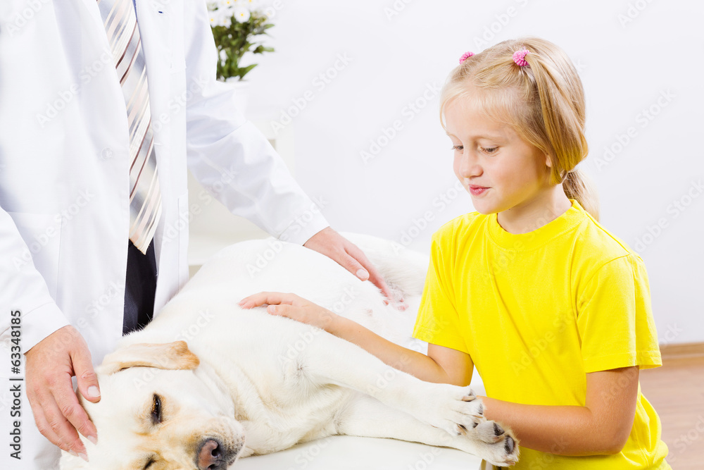 Dog at vet clinic