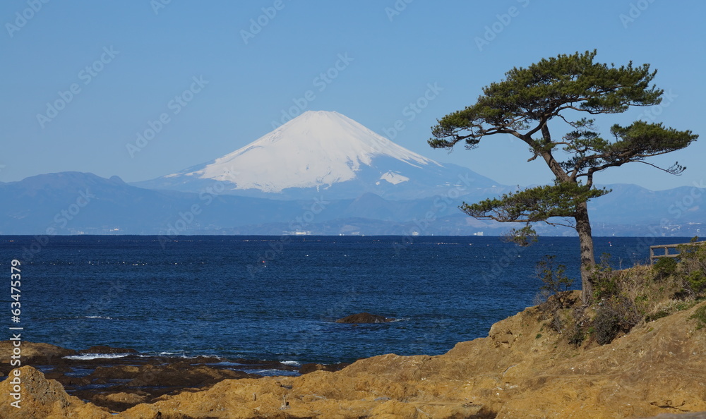 富士山和日本横须贺县砂见湾的海洋