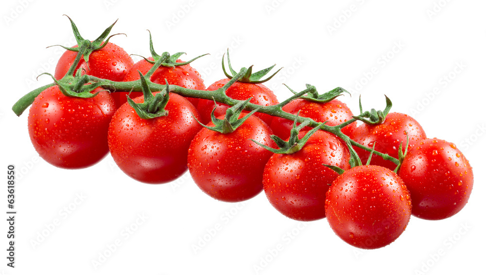 Branch of cherry tomatoes with drops