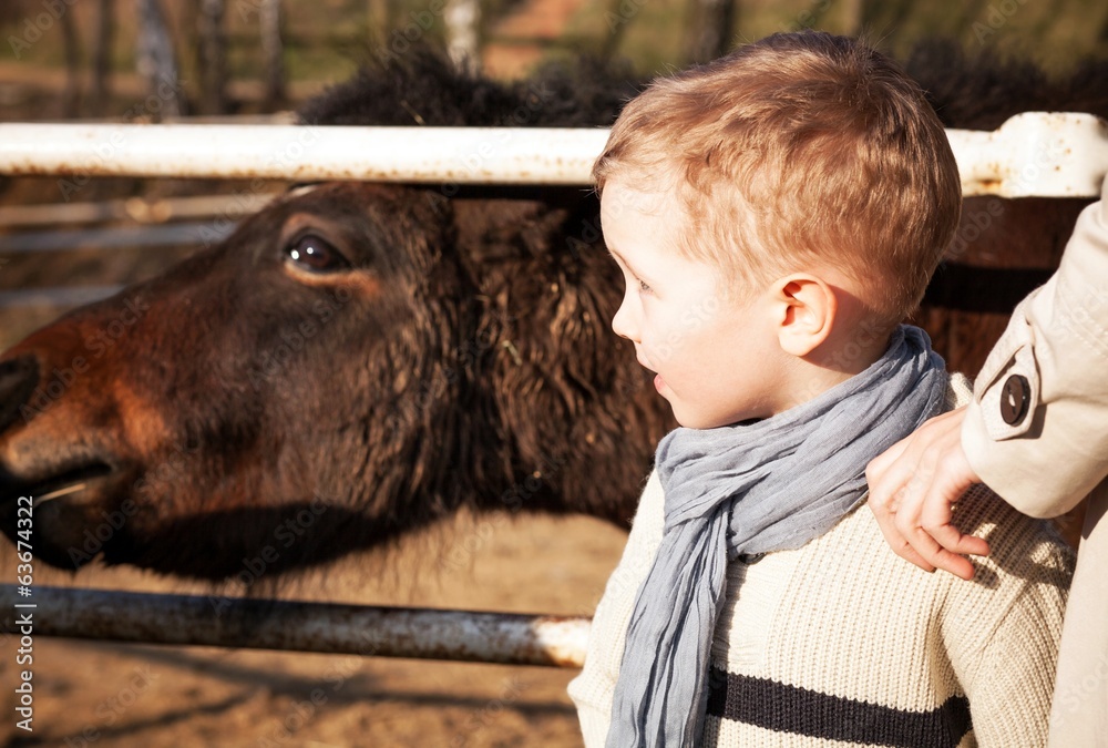 Child and pony in the mini zoo