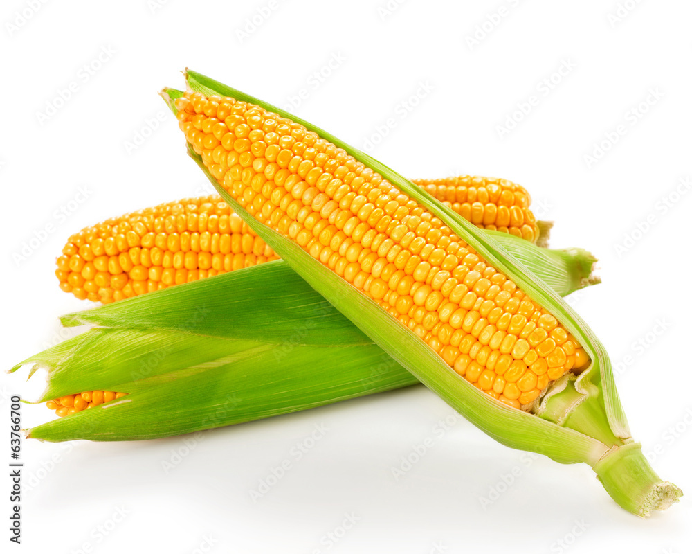 corn