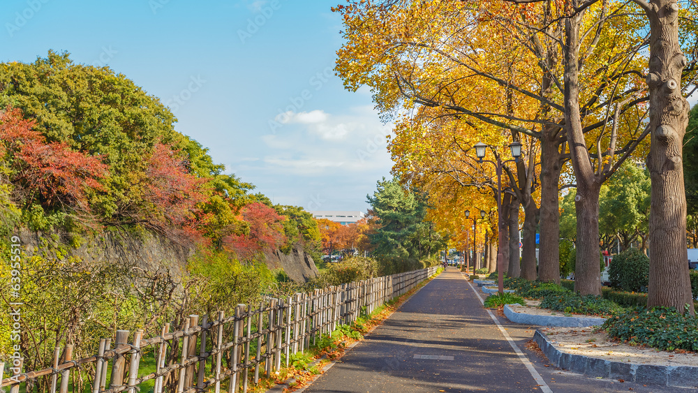 名古屋城堡边上的步行道