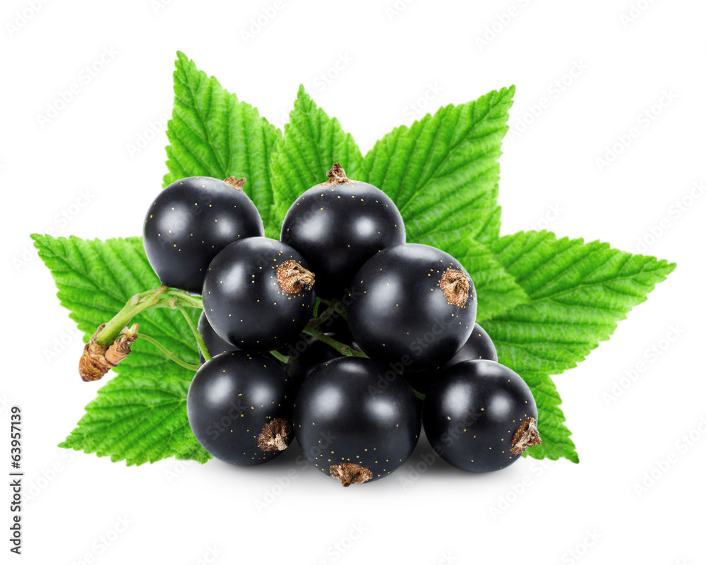 Black currants