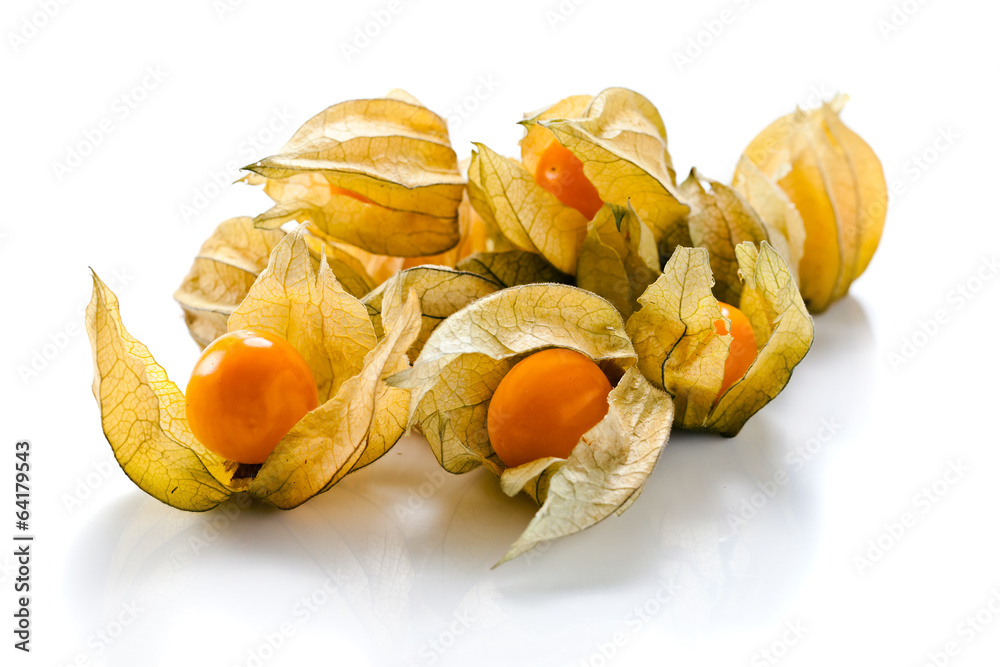 Physalis