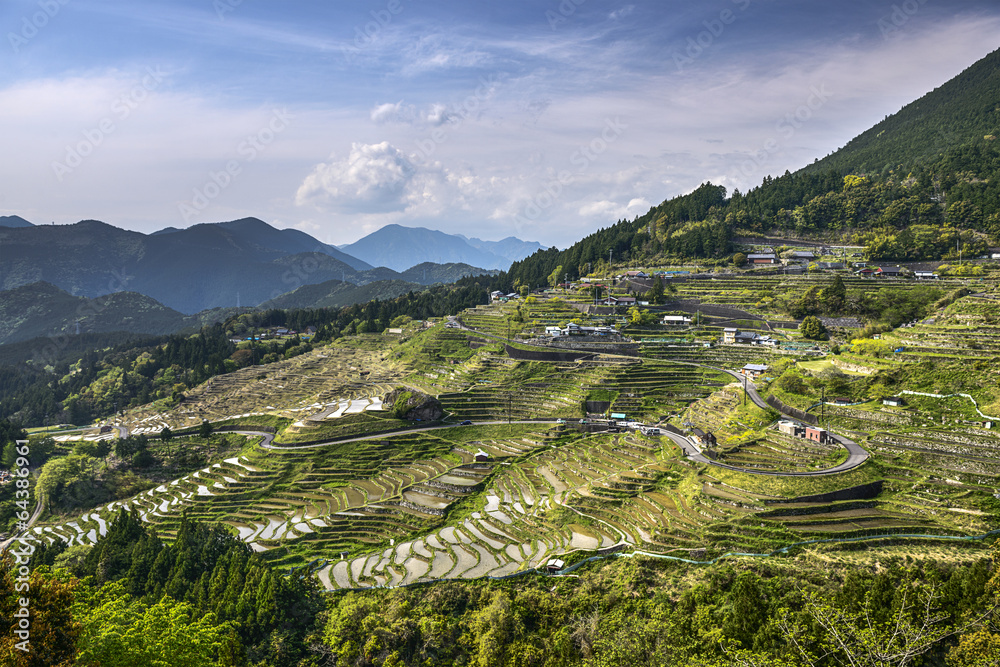 Rice Terraces at Maruyama Senmaida, Kumano, Japan