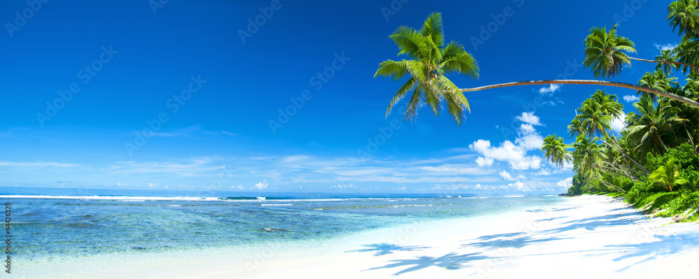 Tropical Beach Destination