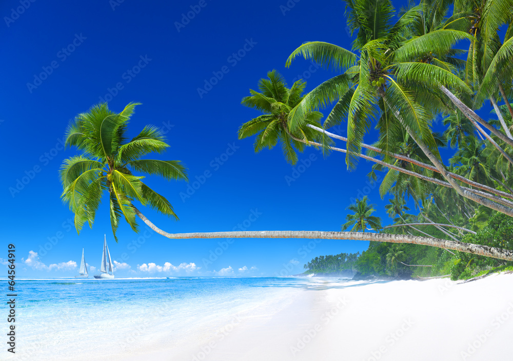 Tropical paradise with sailboat