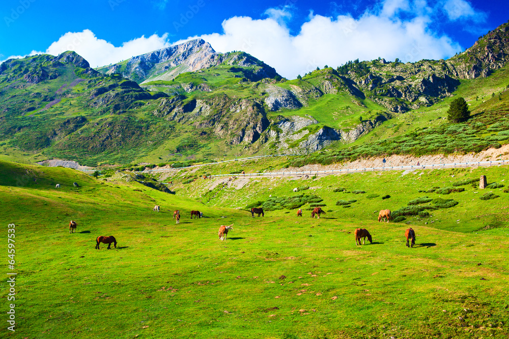 Pyrenees mountains