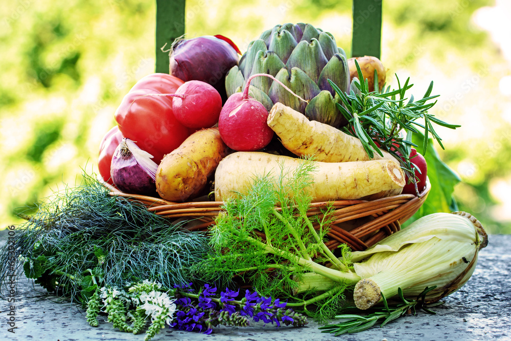 kleiner Gemüsekorb im Garten